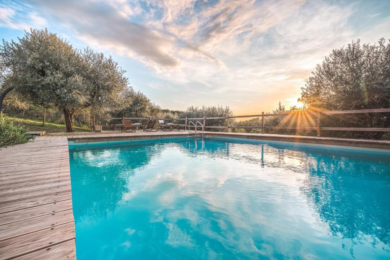 Alpaca Country House Pontedera Luaran gambar