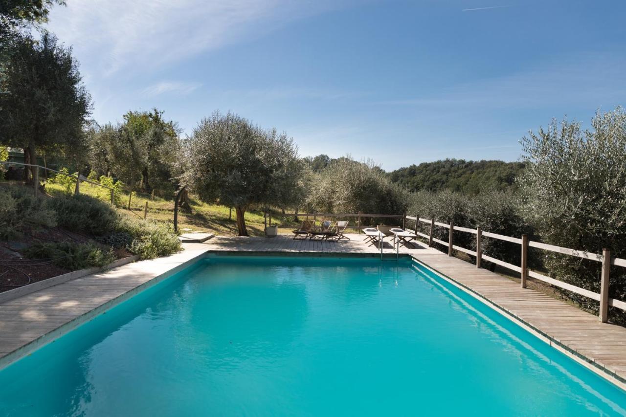 Alpaca Country House Pontedera Luaran gambar