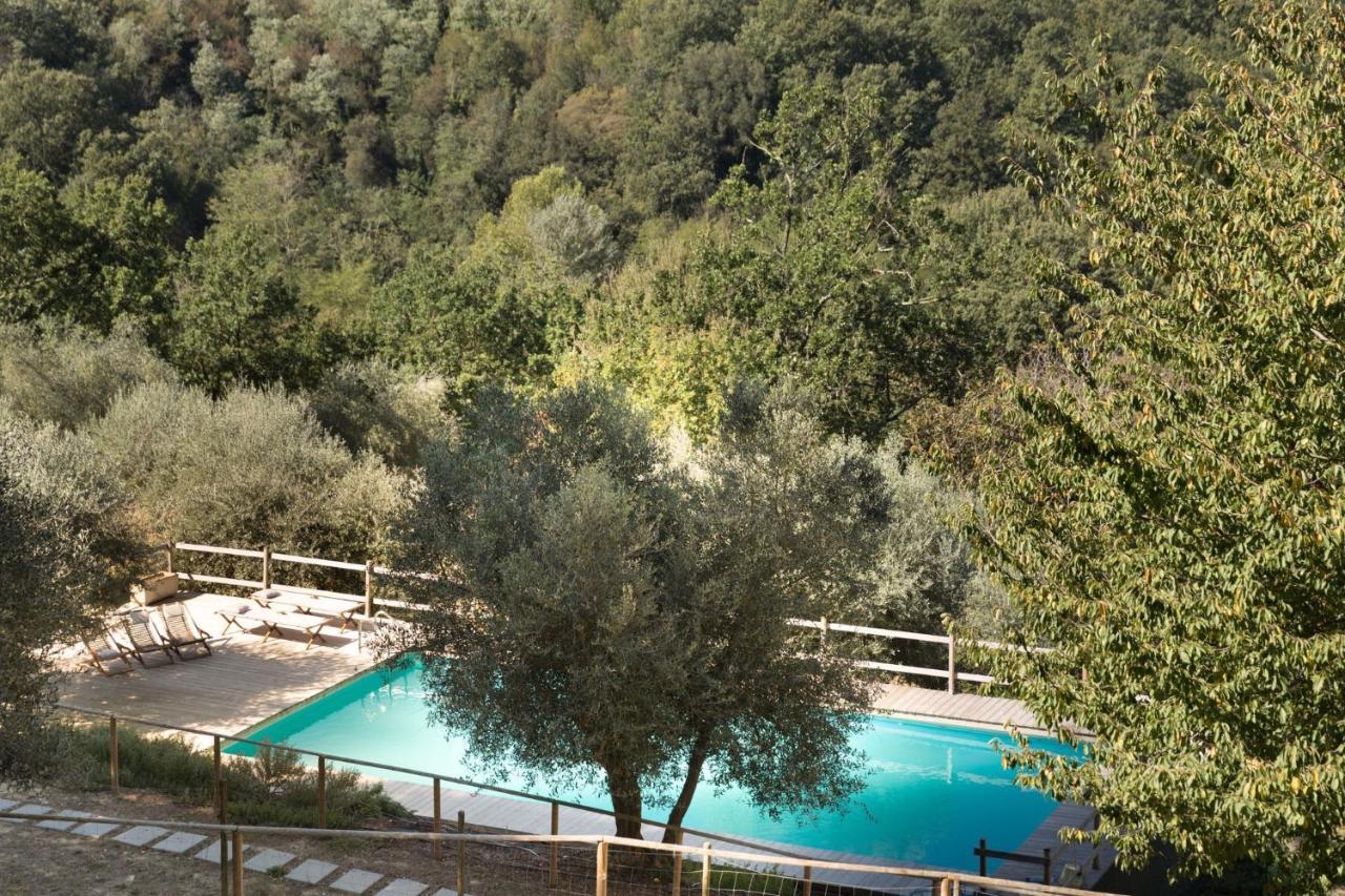 Alpaca Country House Pontedera Luaran gambar